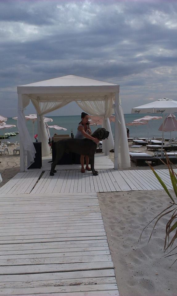 Septembre 2014
