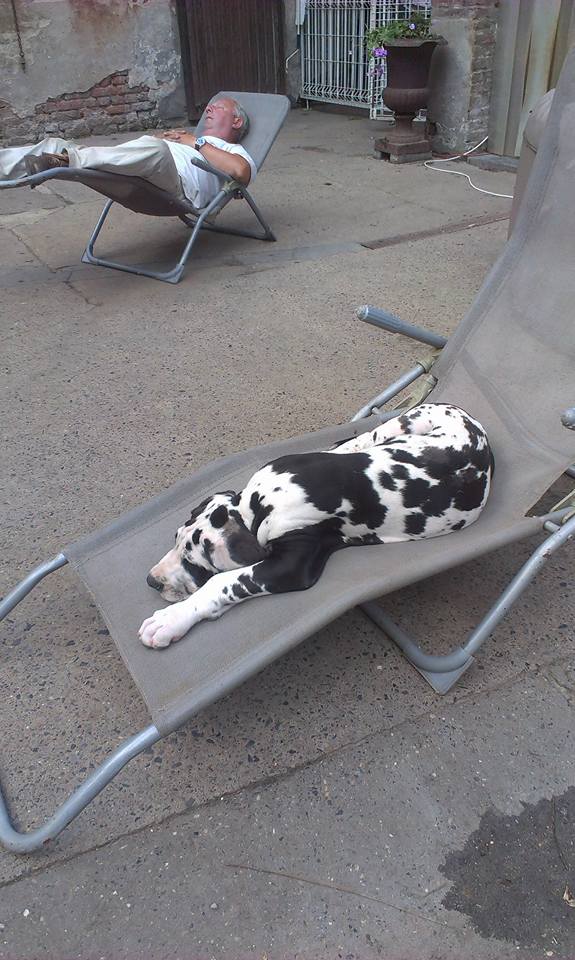 Sieste commune