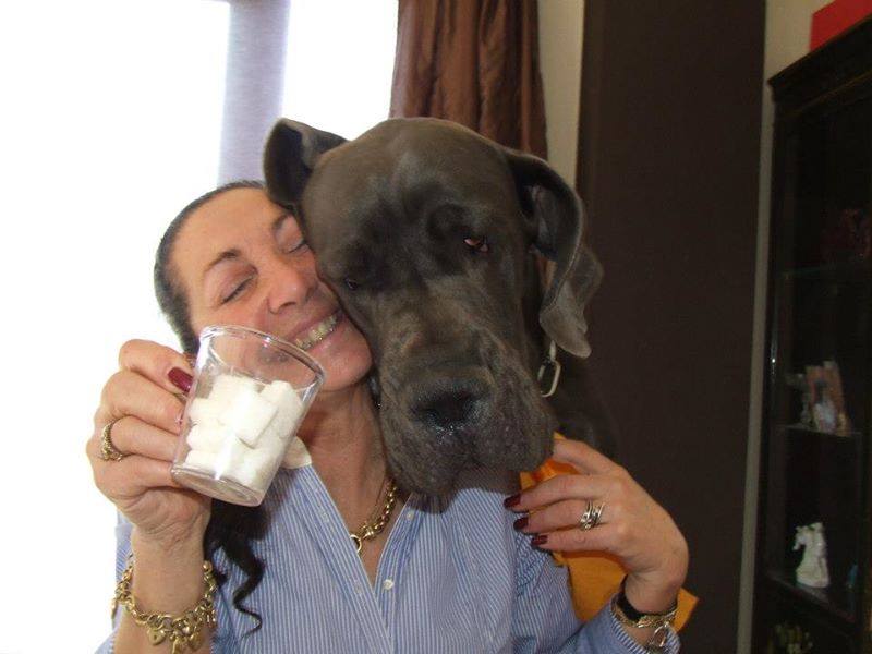 Câlin!