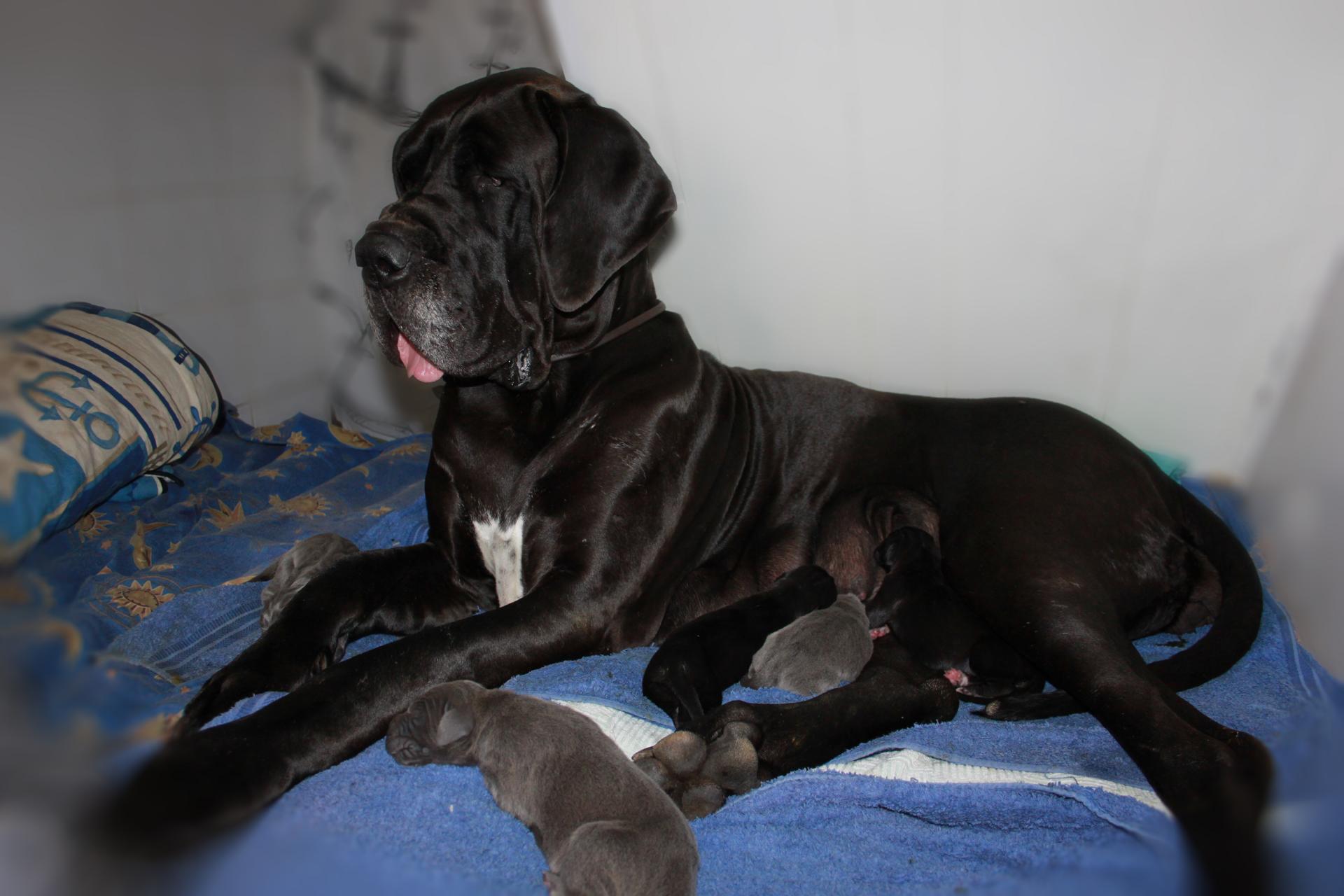 Ortha et ses bébés, 4 octobre 2019