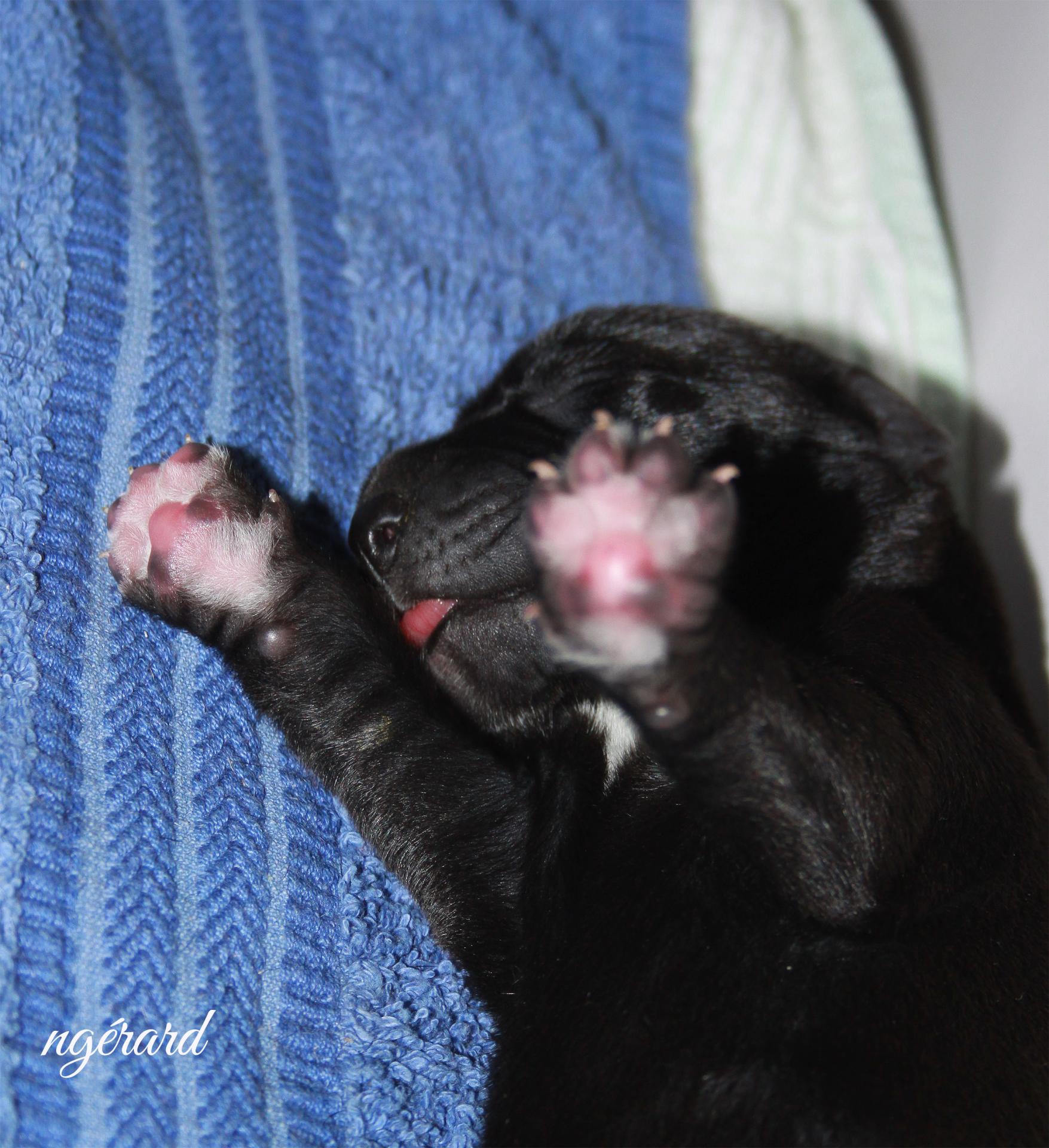 Haut les mains!