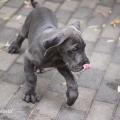 On mange bientot?