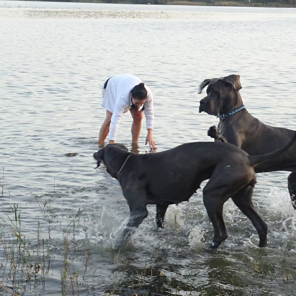 Plouf dans l'eau!