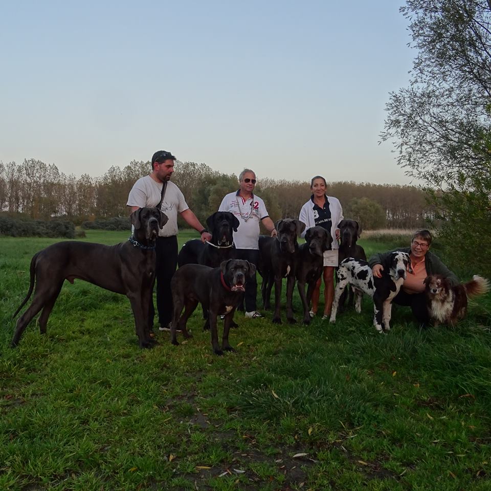 Visite chez les amis