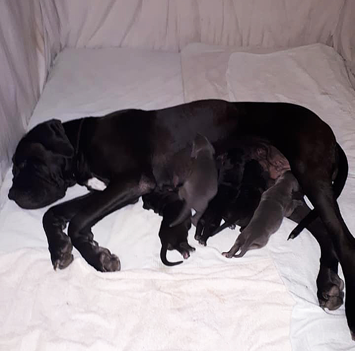 Bébés d'Ortha , 30 juin