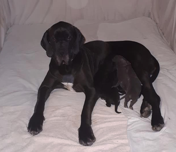Bébés d'Ortha , 30 juin