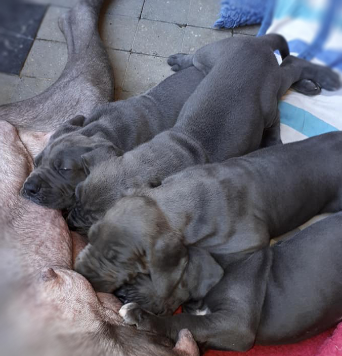 Les bébés de Pam ,30juin