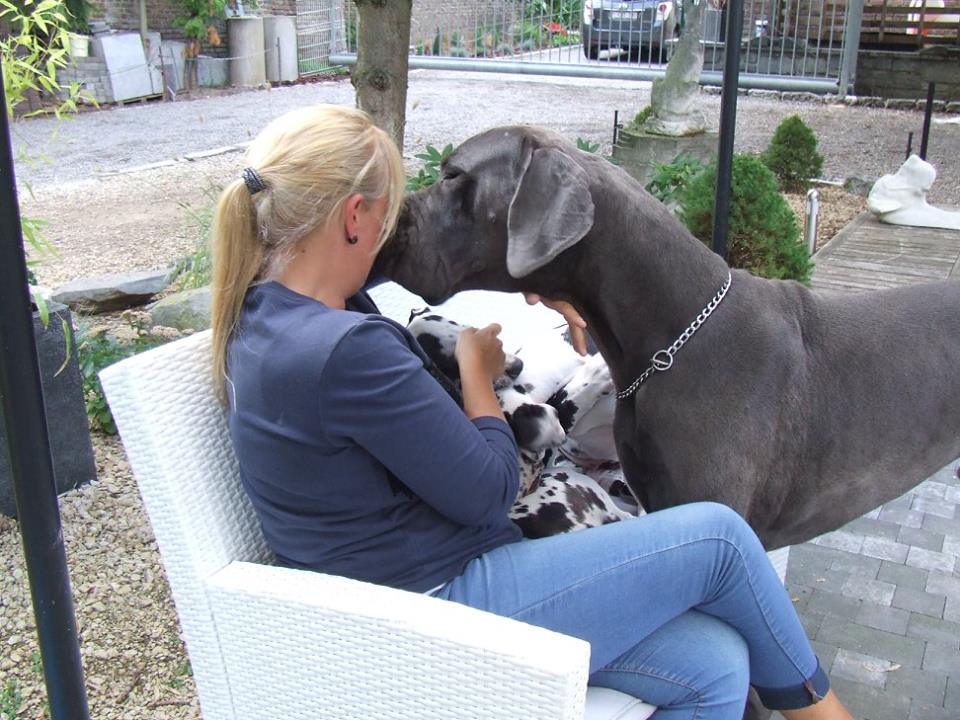 Câlin de Porsche