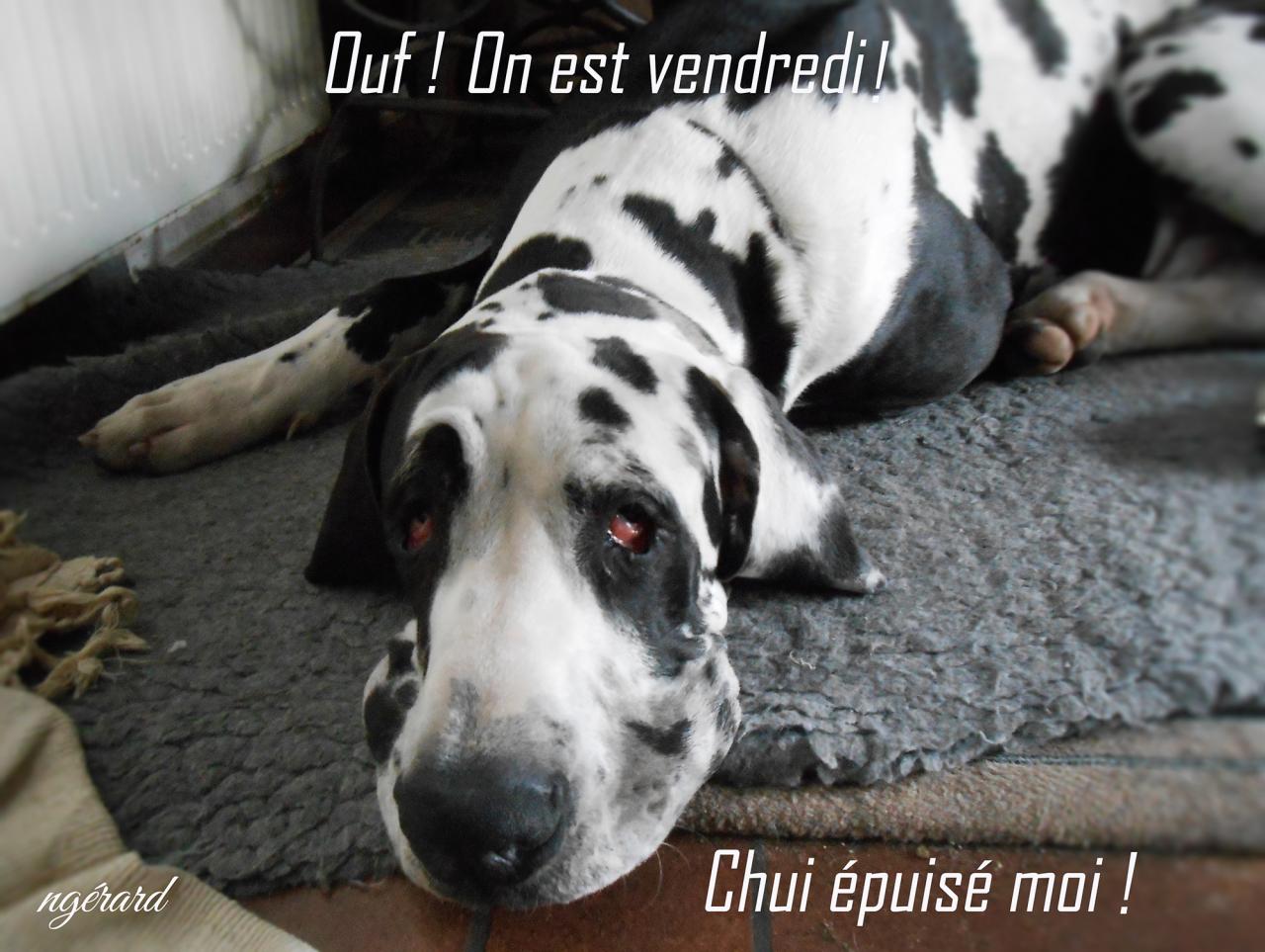 Quastello n'en peut plus!