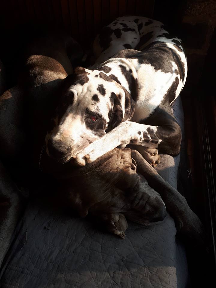 Confortable au soleil