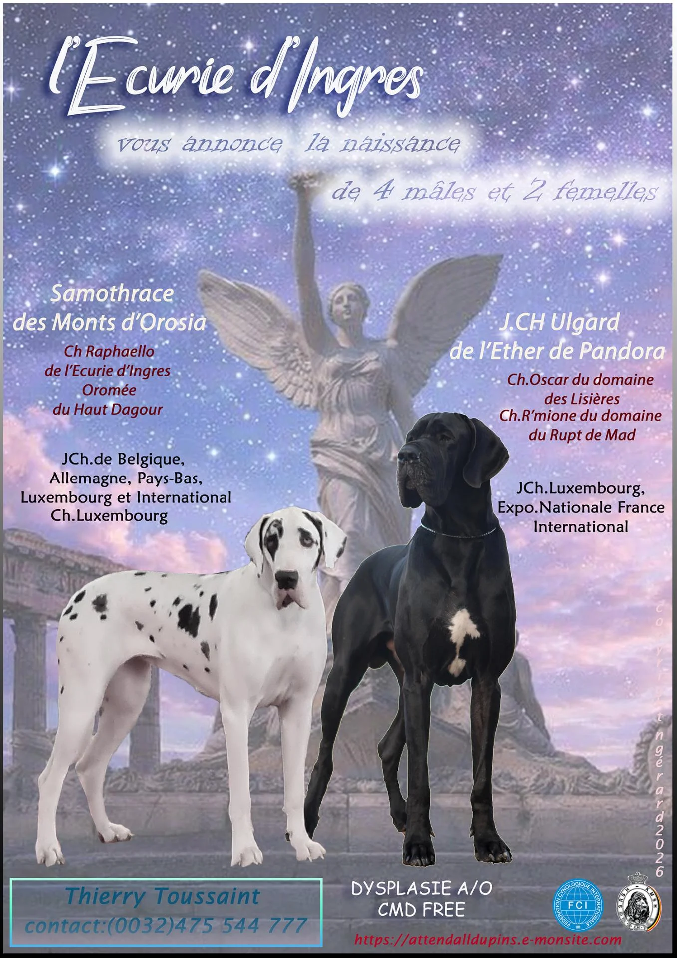 Naiss vic ulgard2026mini 1